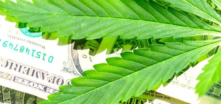 Cannabis Market is Trying to Make Billions